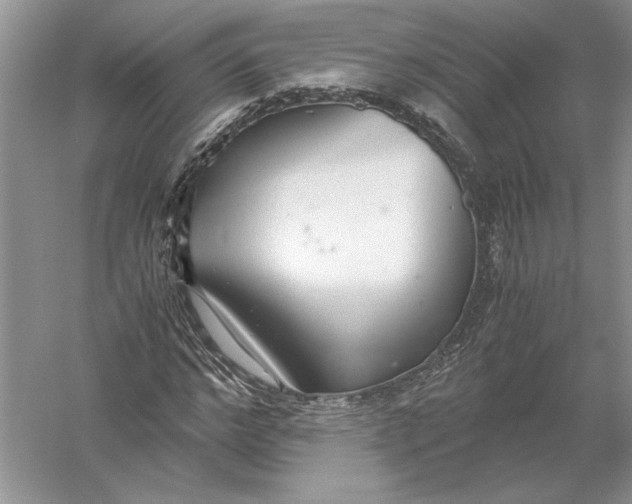 X0000056000968200509092041