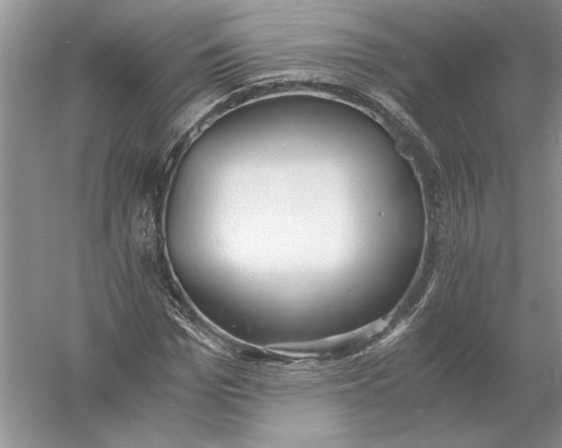 X0000056000969200509092041