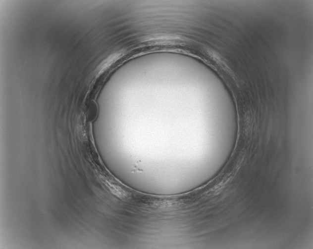 X0000056000970200509092041