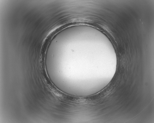 X0000056000971200509092041