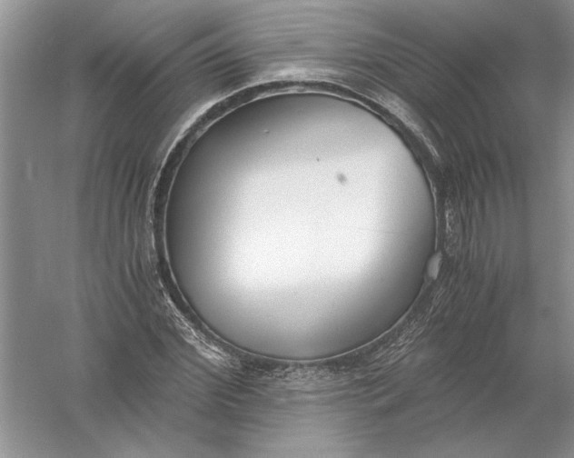 X0000056000972200509092041