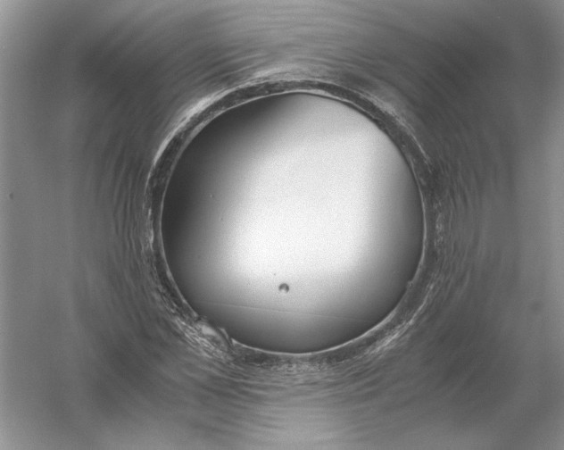 X0000056000973200509092041