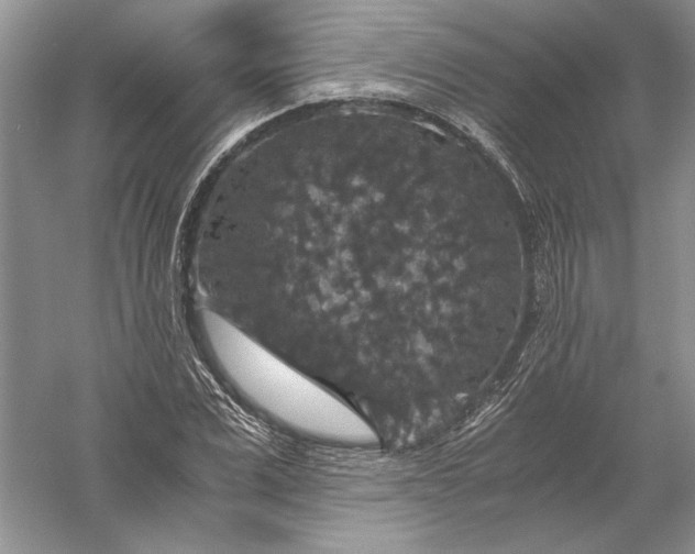 X0000056000975200509092041