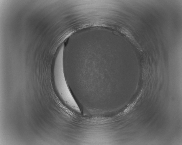 X0000056000977200509092041