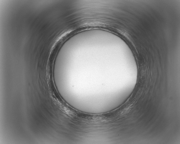 X0000056000979200509092041