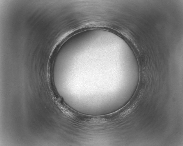 X0000056000981200509092041