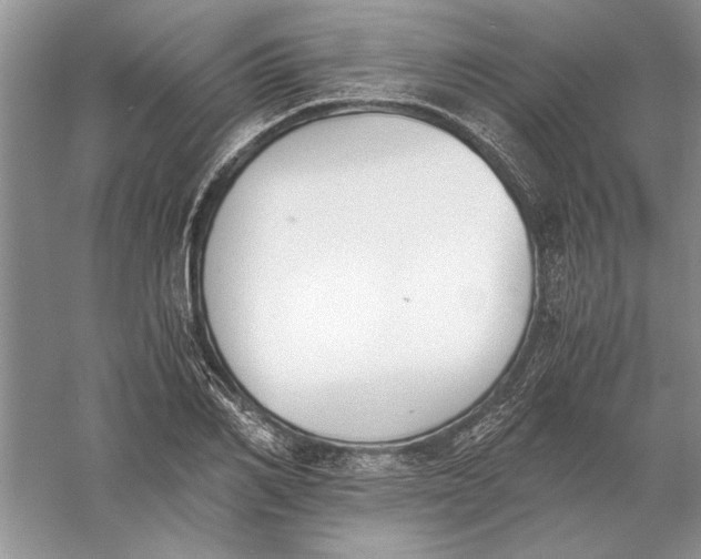 X0000056000982200509092041