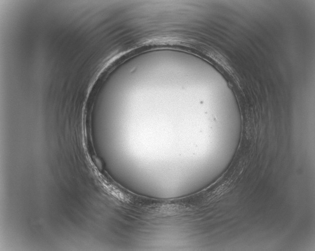 X0000056000984200509092041