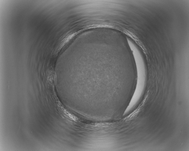 X0000056000985200509092041