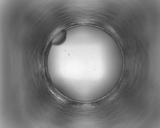 X0000056000986200509092041