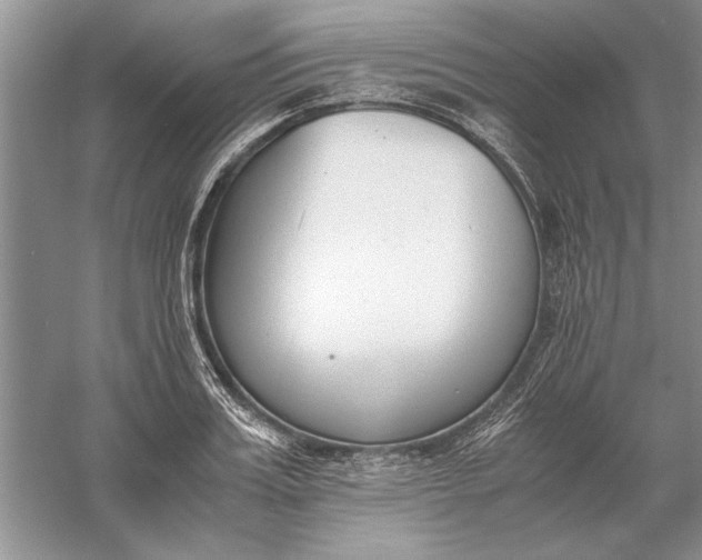 X0000056000987200509092041