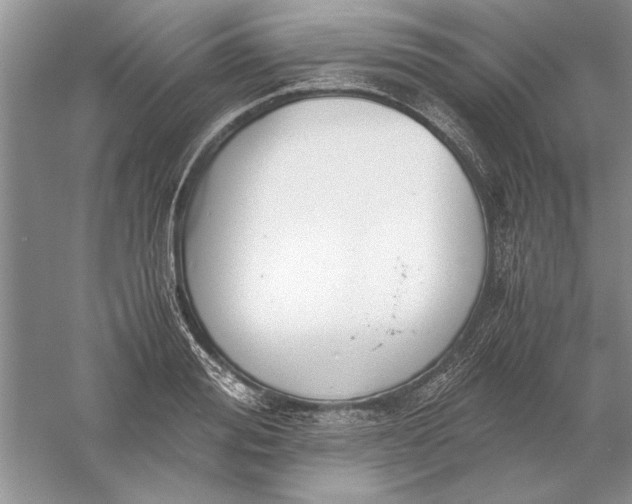 X0000056000988200509092041