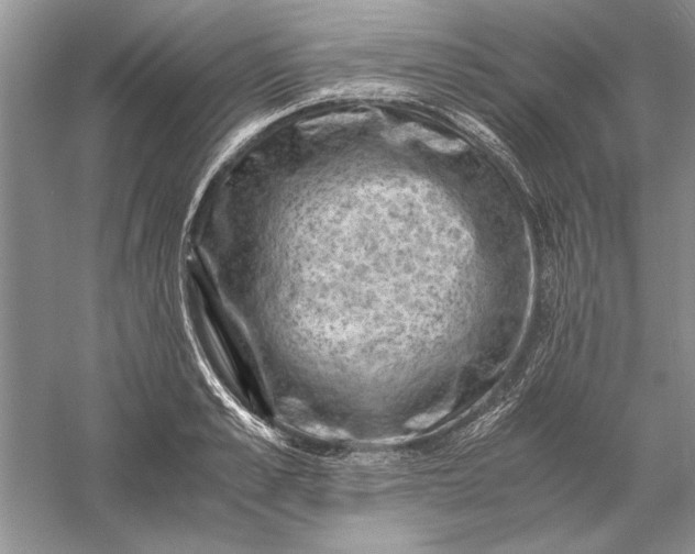 X0000056000989200509092041