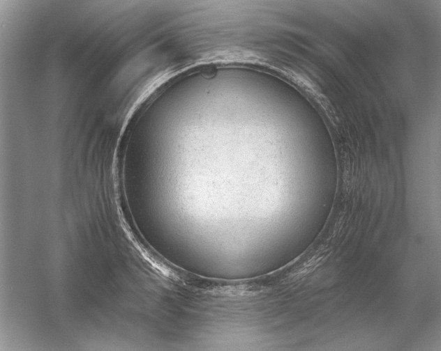 X0000056000990200509092041