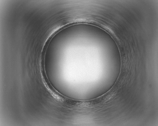 X0000056000991200509092041