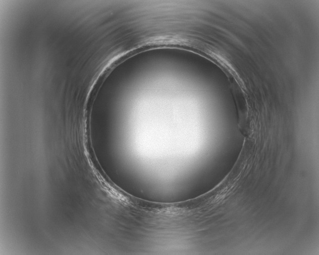 X0000056000992200509092041