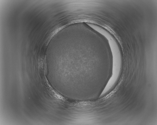 X0000056000993200509092041