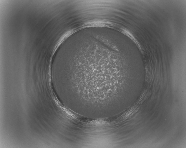 X0000056000994200509092041