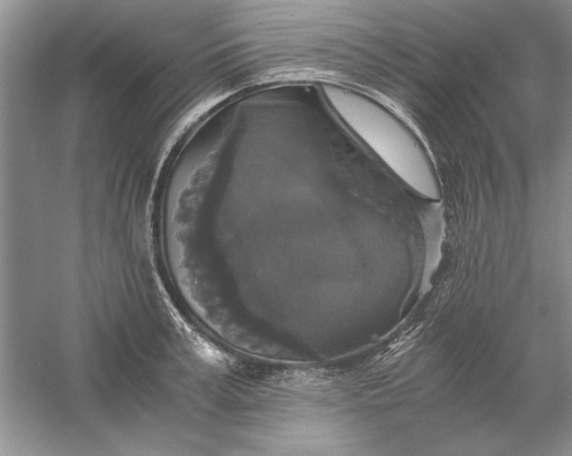 X0000056000995200509092041