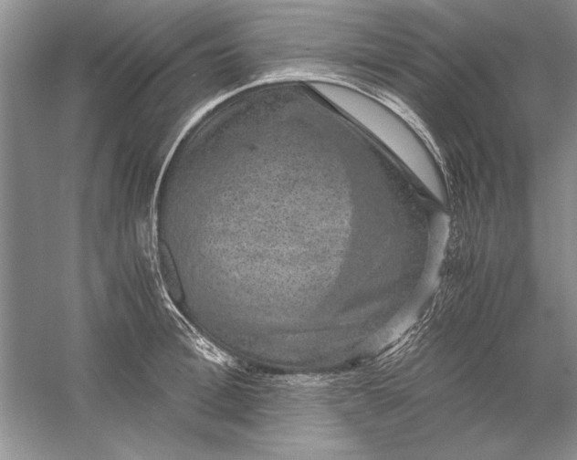 X0000056000996200509092041