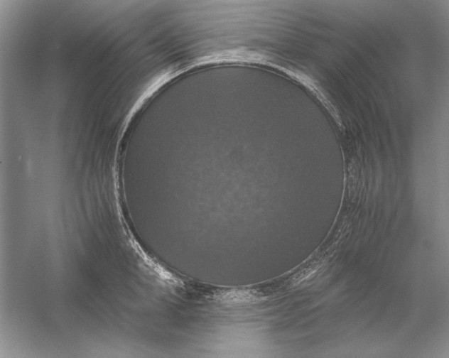 X0000056000998200509092041