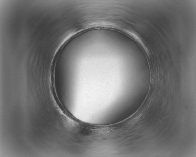 X0000056000999200509092041