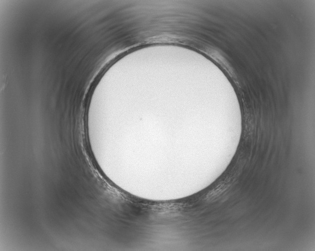 X0000056001000200509092041