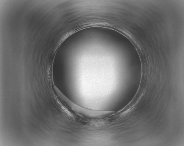 X0000056001001200509092041