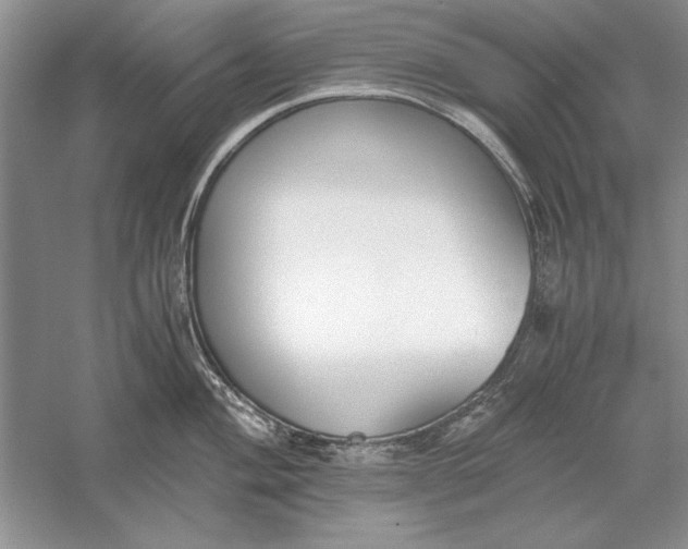 X0000056001004200509092041