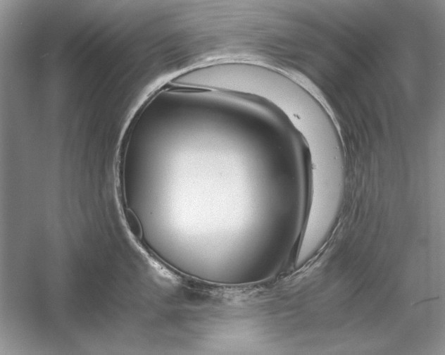 X0000056001005200509092041