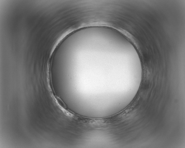 X0000056001006200509092041