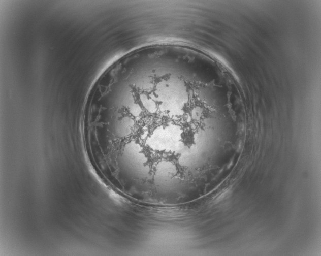 X0000056001007200509092041