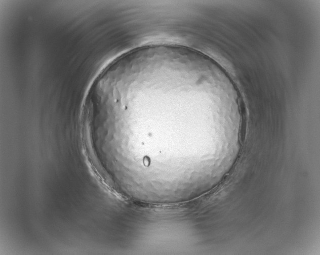 X0000056001008200509092041