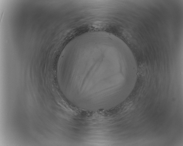 X0000056001009200509092040