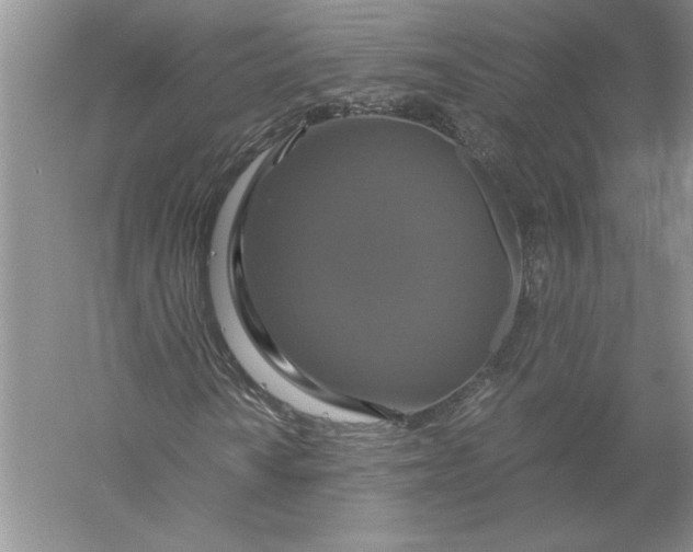 X0000056001010200509092040