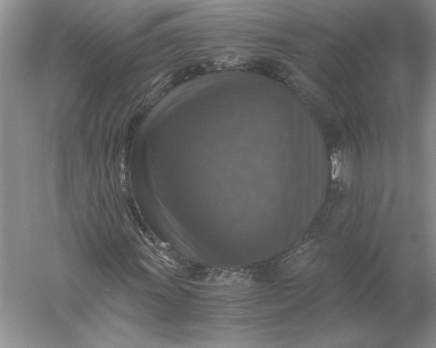 X0000056001011200509092040