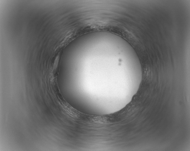 X0000056001012200509092040