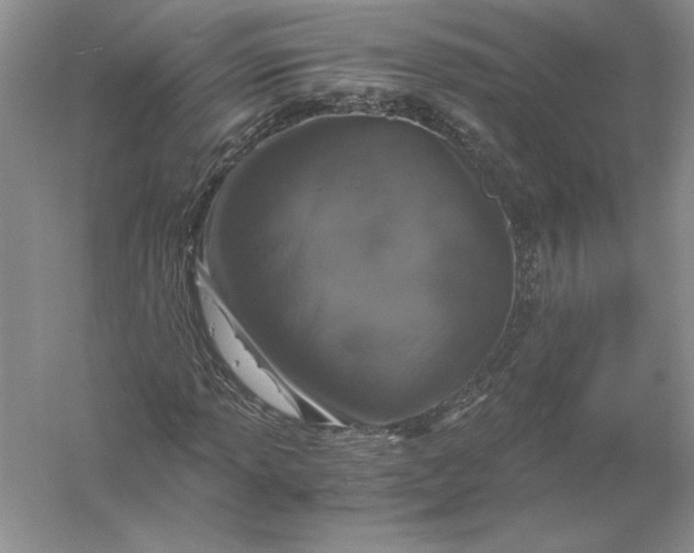 X0000056001013200509092040