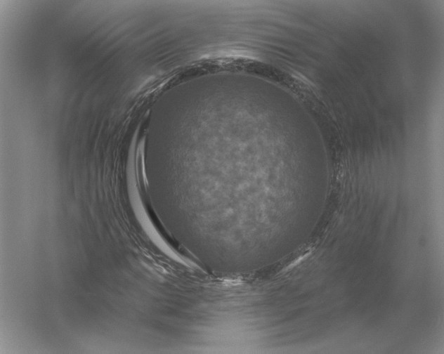 X0000056001014200509092040