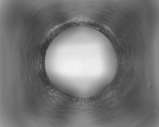 X0000056001016200509092040