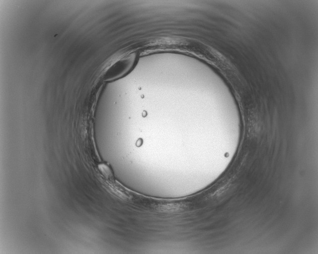 X0000056001017200509092040