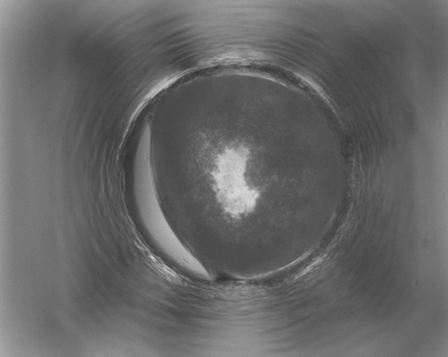 X0000056001018200509092040