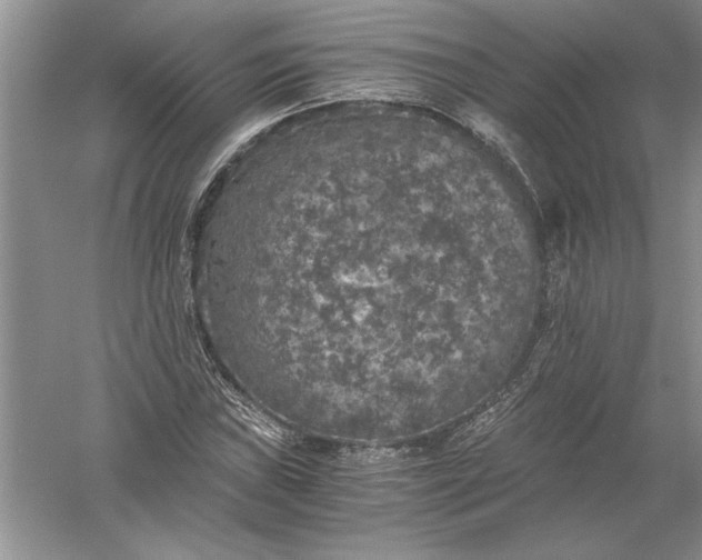 X0000056001019200509092040