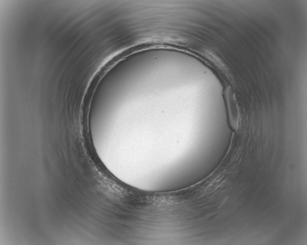 X0000056001020200509092040