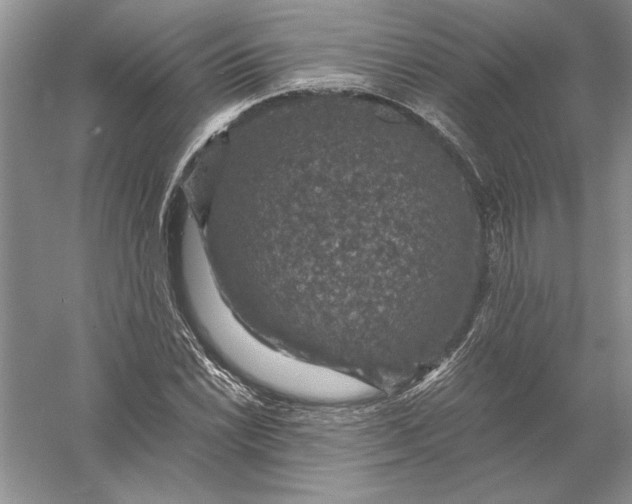 X0000056001022200509092040