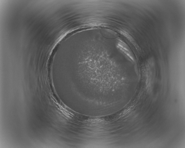 X0000056001023200509092040