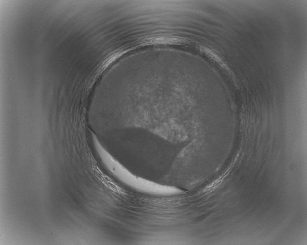 X0000056001025200509092040