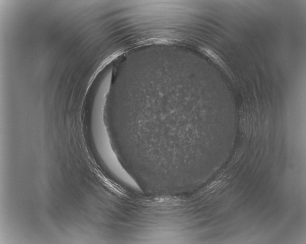 X0000056001026200509092040