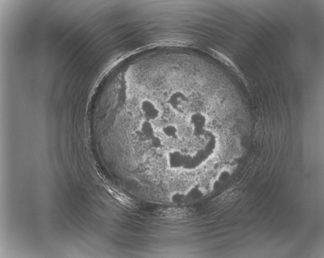 X0000056001027200509092040