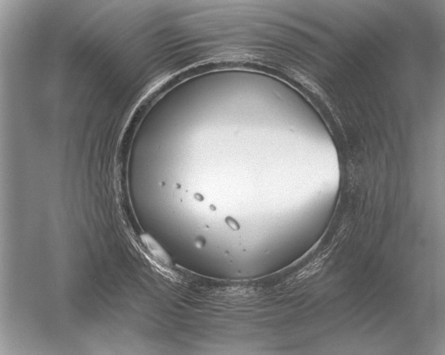 X0000056001029200509092040